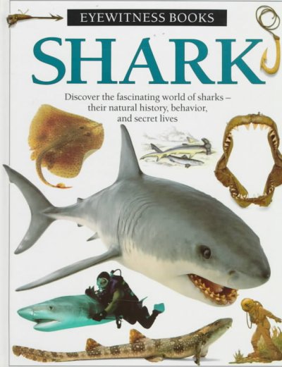 Shark / written by Miranda MacQuitty.