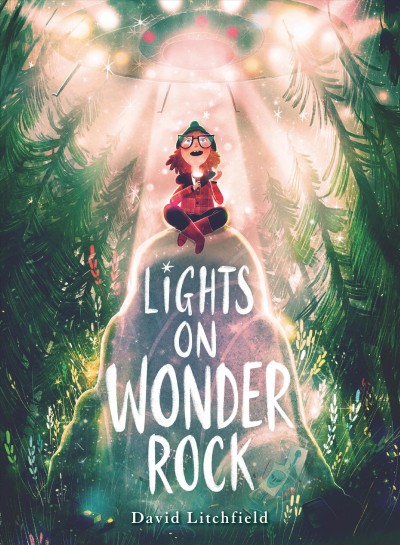 Lights on Wonder Rock / David Litchfield.