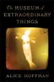 The Museum of extraordinary things : a novel  Cover Image
