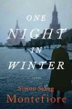 Go to record One night in winter : a novel