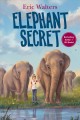 Go to record Elephant secret